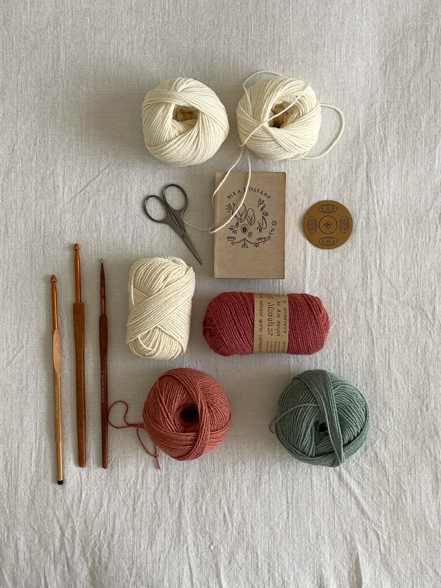 Kit crochet débutant : crochets en bois, pelotes de coton et livret